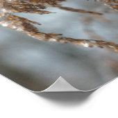 Goldenrod nach dem Eissturm Natur Poster (Ecke)