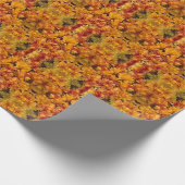 Goldenrod Nah-up mit Rot-Hauch Geschenkpapier (Ecke)