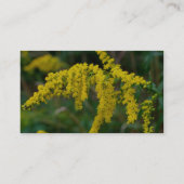 Goldenrod Nature Fotografy Business Card Visitenkarte (Rückseite)
