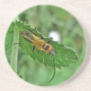 Goldenrod Soldier Beetle Getränkeuntersetzer