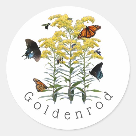 Goldenrod Solidago Wildblume und Bestäuber Runder Aufkleber (Vorderseite)