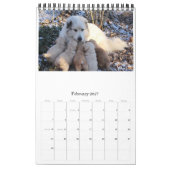 Goldens, das gerade Spaß hat Kalender (Feb 2027)