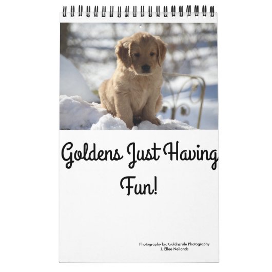Goldens, das gerade Spaß hat Kalender (Titelbild)