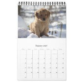 Goldens, das gerade Spaß hat Kalender (Jan 2027)