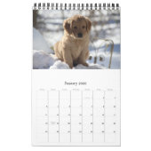 Goldens, das gerade Spaß hat Kalender (Jan 2026)