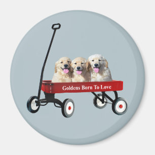 Goldens im Lastwagen-Magneten Magnet