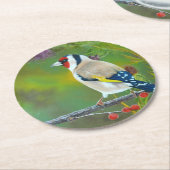 Goldern Finch Coaster Runder Pappuntersetzer (Angewinkelt)