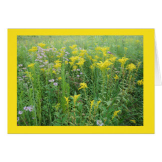 Goldernrod in der Region Wisconsin