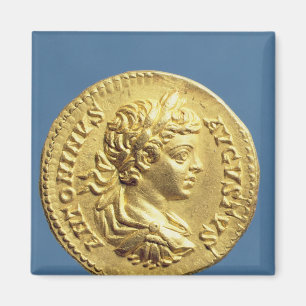 Goldfarbig mit Kopf von Carcalla Trauben Magnet