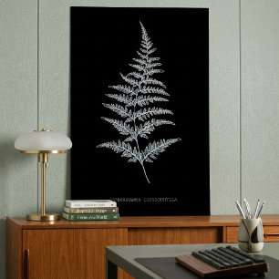 Goldfarnwedel, Gymnogramma Chrysophylla Poster