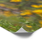 Goldfeine und gelbe Blumen Poster (Ecke)