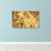 Goldfeld (Weizenohren) Leinwanddruck (Insitu (Holzboden))