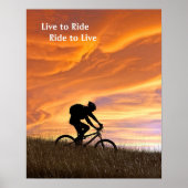 Goldfelder Poster (Vorne)