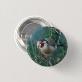 Goldfinch-Abzeichen Button (Vorne & Hinten)