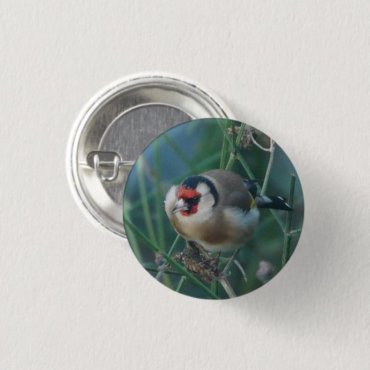 Goldfinch-Abzeichen Button (Vorne & Hinten)