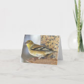 Goldfinch am Anleger - Blankkarte Karte (Vorderseite)