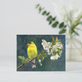Goldfinch and Cherry Blossoms Postkarte (Stehend Vorderseite)