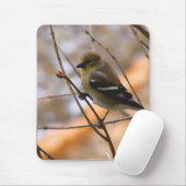 Goldfinch-Aquarell Mousepad (Mit Mouse)