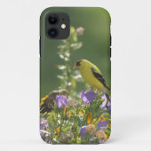 Goldfinch auf einer Harebell-Blume Case-Mate iPhone Hülle (Rückseite)