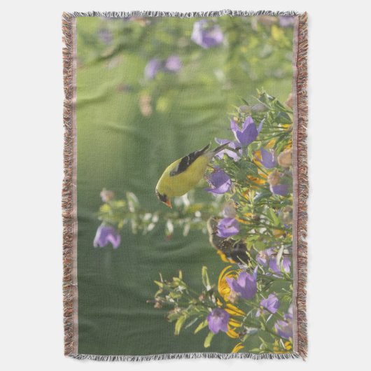 Goldfinch auf einer Harebell-Blume Decke (Vorderseite Vertikal)