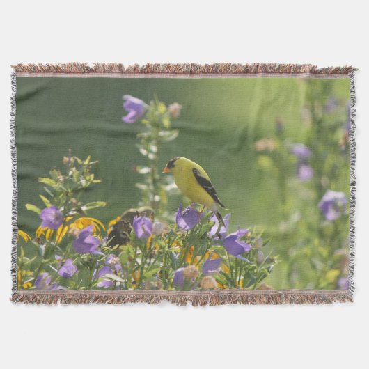 Goldfinch auf einer Harebell-Blume Decke (Vorderseite)