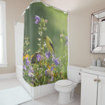 Goldfinch auf einer Harebell-Blume