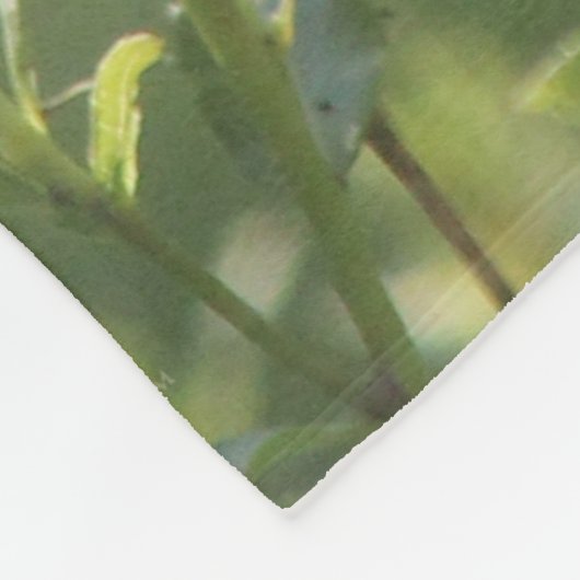 Goldfinch auf einer Harebell-Blume Fleecedecke (Ecke)