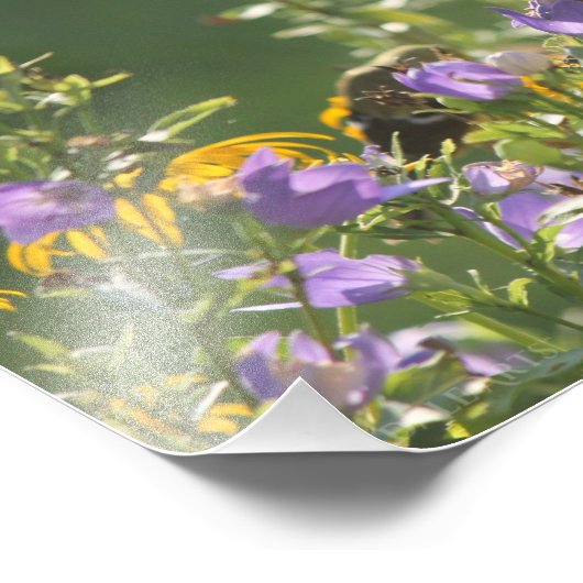 Goldfinch auf einer Harebell-Blume Fotodruck (Ecke)