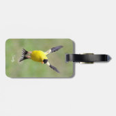 Goldfinch auf einer Harebell-Blume Gepäckanhänger (Rückseite horizontal)