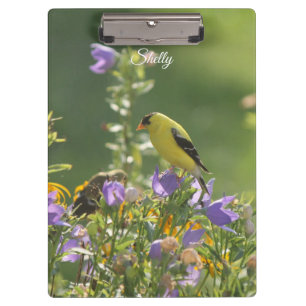 Goldfinch auf einer Harebell-Blume Klemmbrett