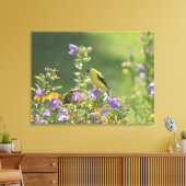Goldfinch auf einer Harebell-Blume Leinwanddruck (Insitu (Wohnzimmer))