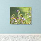 Goldfinch auf einer Harebell-Blume Leinwanddruck (Insitu (Holzboden))