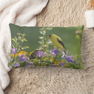 Goldfinch auf einer Harebell-Blume Lendenkissen