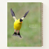 Goldfinch auf einer Harebell-Blume Notizblock (Rückseite)