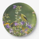 Goldfinch auf einer Harebell-Blume Pappteller (Vorderseite)