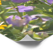 Goldfinch auf einer Harebell-Blume Poster (Ecke)