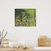 Goldfinch auf einer Harebell-Blume Poster (Küche)