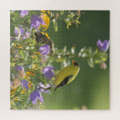 Goldfinch auf einer Harebell-Blume Puzzle (Horizontal)