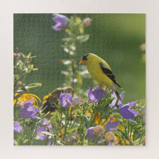 Goldfinch auf einer Harebell-Blume Puzzle (Vertikal)