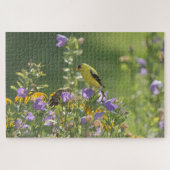 Goldfinch auf einer Harebell-Blume Puzzle (Horizontal)
