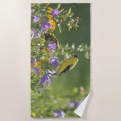 Goldfinch auf einer Harebell-Blume Strandtuch (Vorderseite)