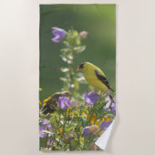 Goldfinch auf einer Harebell-Blume Strandtuch (Vorderseite)