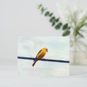 Goldfinch auf einer Power-Linie Postkarte (Stehend Vorderseite)