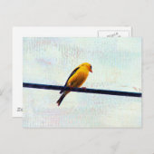 Goldfinch auf einer Power-Linie Postkarte (Vorne/Hinten)