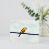 Goldfinch auf einer Power-Linie Postkarte (Stehend Vorderseite)