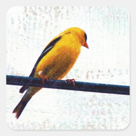 Goldfinch auf einer Power-Linie Quadratischer Aufkleber