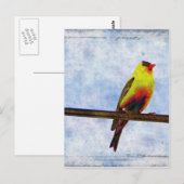 Goldfinch auf Power Line Postkarte (Vorne/Hinten)
