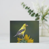 Goldfinch auf Sonnenblume Postkarte (Stehend Vorderseite)