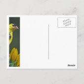 Goldfinch auf Sonnenblume Postkarte (Rückseite)