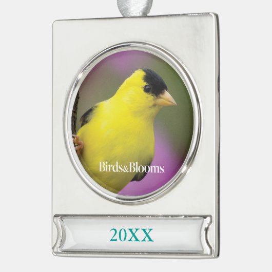 Goldfinch Banner-Ornament Silber (Links)